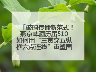破圈传播新范式！燕京啤酒历届510如何用“三贯穿五纵横六点连线”重塑国民品牌声量