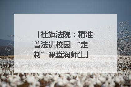 社旗法院：精准普法进校园 “定制”课堂润师生