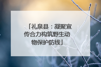 礼泉县：凝聚宣传合力构筑野生动物保护防线