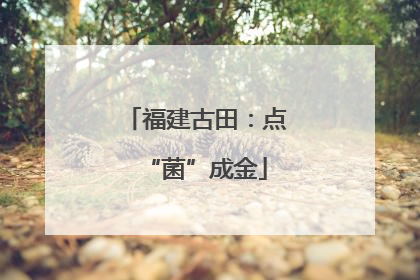 福建古田：点“菌”成金