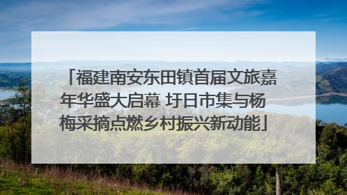 福建南安东田镇首届文旅嘉年华盛大启幕 圩日市集与杨梅采摘点燃乡村振兴新动能