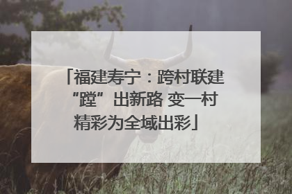福建寿宁：跨村联建“蹚”出新路 变一村精彩为全域出彩