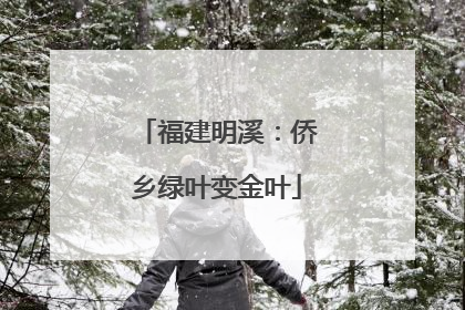 福建明溪：侨乡绿叶变金叶