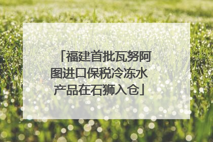 福建首批瓦努阿图进口保税冷冻水产品在石狮入仓