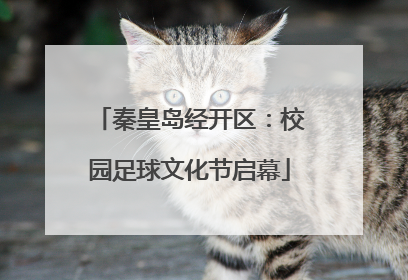 秦皇岛经开区：校园足球文化节启幕