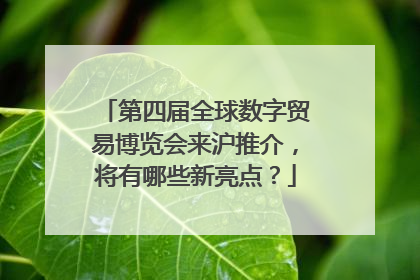 第四届全球数字贸易博览会来沪推介，将有哪些新亮点？