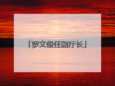 罗文俊任副厅长