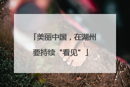 美丽中国，在湖州要持续“看见”