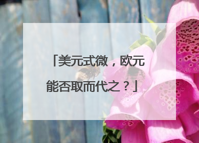 美元式微，欧元能否取而代之？