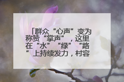 群众“心声”变为称赞“掌声”，这里在“水”“绿”“路”上持续发力，村容村貌焕然一新