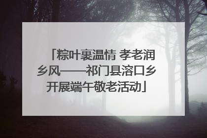 粽叶裹温情 孝老润乡风——祁门县溶口乡开展端午敬老活动