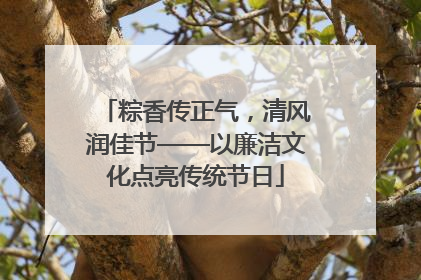 粽香传正气，清风润佳节——以廉洁文化点亮传统节日