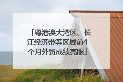 粤港澳大湾区、长江经济带等区域前4个月外贸成绩亮眼