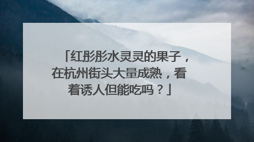 红彤彤水灵灵的果子，在杭州街头大量成熟，看着诱人但能吃吗？