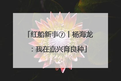 红船新事⑦丨杨海龙：我在嘉兴育良种
