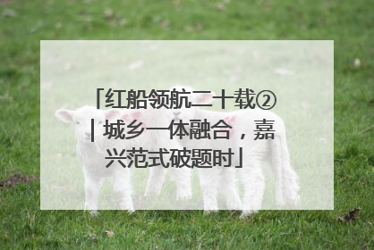 红船领航二十载②｜城乡一体融合，嘉兴范式破题时