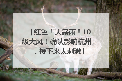 红色！大暴雨！10级大风！确认影响杭州，接下来太刺激