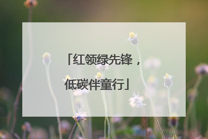 红领绿先锋，低碳伴童行