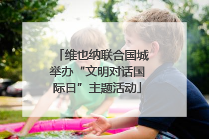 维也纳联合国城举办“文明对话国际日”主题活动