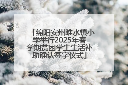 绵阳安州雎水镇小学举行2025年春学期贫困学生生活补助确认签字仪式