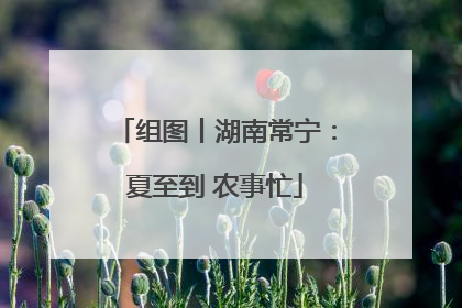 组图丨湖南常宁：夏至到 农事忙