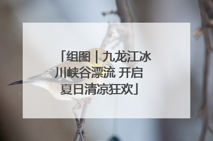 组图｜九龙江冰川峡谷漂流 开启夏日清凉狂欢