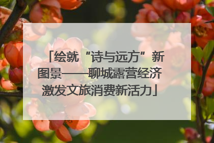 绘就“诗与远方”新图景——聊城露营经济激发文旅消费新活力