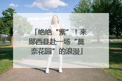 绝绝“紫”！来郧西县赴一场“莫奈花园”的浪漫