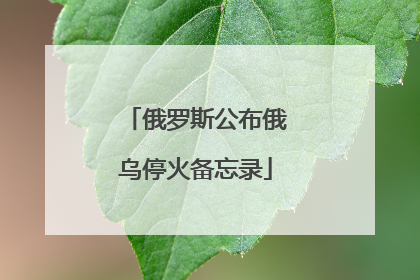 俄罗斯公布俄乌停火备忘录