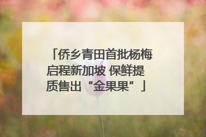 侨乡青田首批杨梅启程新加坡 保鲜提质售出“金果果”