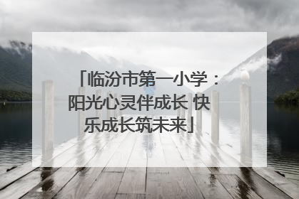 临汾市第一小学：阳光心灵伴成长 快乐成长筑未来