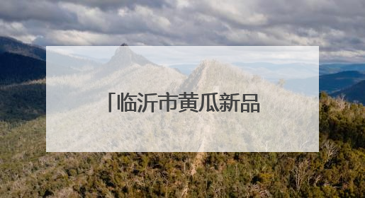 临沂市黄瓜新品种新技术培训班在沂南县举办
