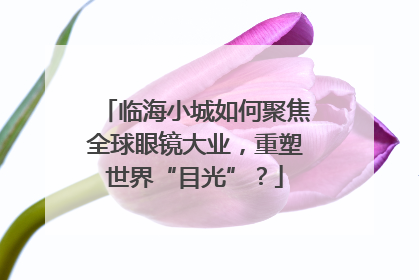 临海小城如何聚焦全球眼镜大业，重塑世界“目光”？