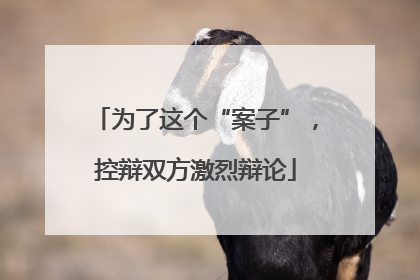 为了这个“案子”，控辩双方激烈辩论