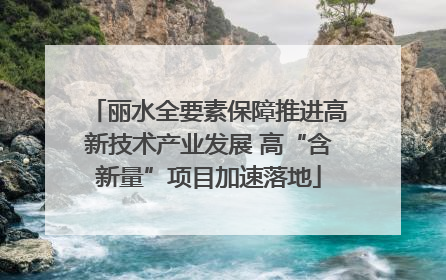 丽水全要素保障推进高新技术产业发展 高“含新量”项目加速落地