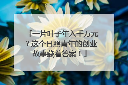 一片叶子年入千万元？这个日照青年的创业故事藏着答案！