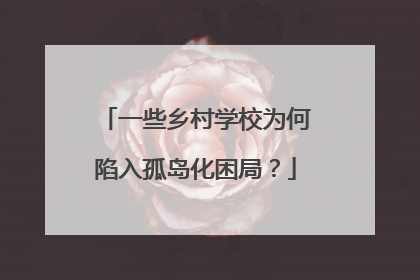 一些乡村学校为何陷入孤岛化困局？