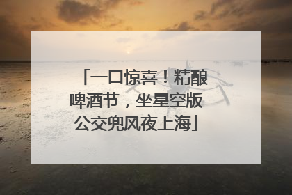 一口惊喜！精酿啤酒节，坐星空版公交兜风夜上海