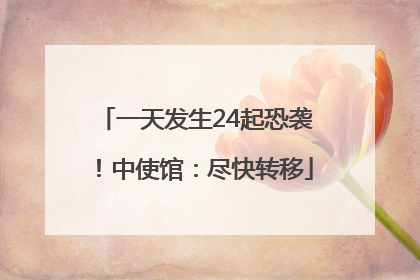 一天发生24起恐袭！中使馆：尽快转移