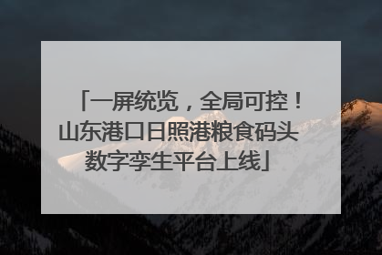 一屏统览，全局可控！山东港口日照港粮食码头数字孪生平台上线