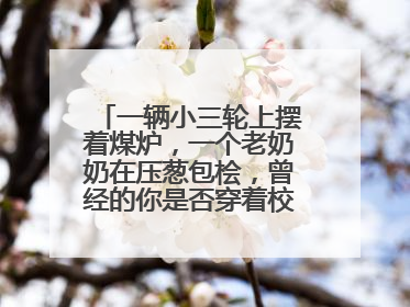 一辆小三轮上摆着煤炉，一个老奶奶在压葱包桧，曾经的你是否穿着校服等着吃