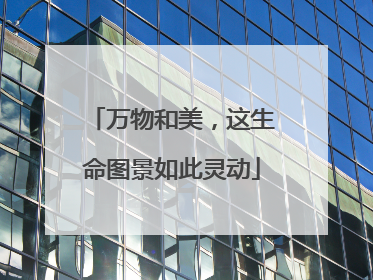 万物和美，这生命图景如此灵动