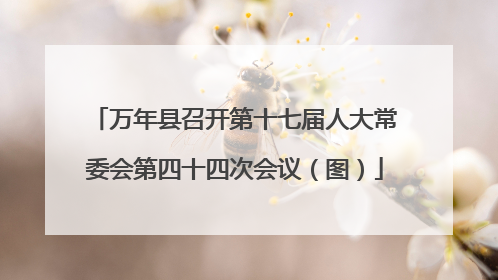 万年县召开第十七届人大常委会第四十四次会议（图）