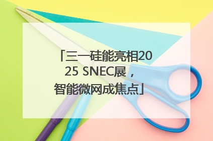 三一硅能亮相2025 SNEC展，智能微网成焦点