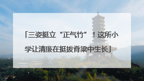 三姿挺立“正气竹”！这所小学让清廉在挺拔脊梁中生长