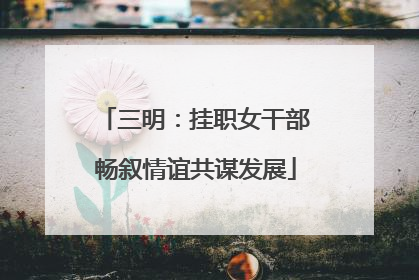 三明：挂职女干部畅叙情谊共谋发展