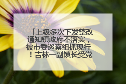 上级多次下发整改通知镇政府不落实，被市委巡察组抓现行！吉林一副镇长受党内警告处分