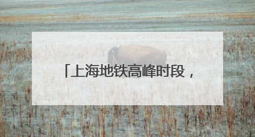 上海地铁高峰时段，5元一次50元包月？官方：坚决反对！