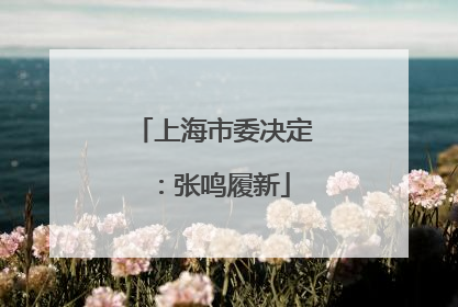 上海市委决定：张鸣履新