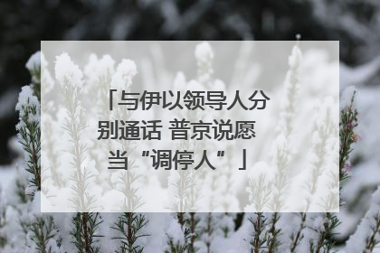 与伊以领导人分别通话 普京说愿当“调停人”